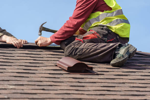 Best Roof Gutter Cleaning  in Berry College, GA