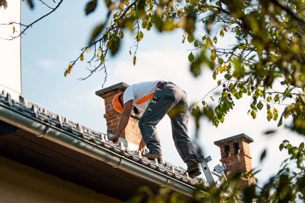 Best Roof Gutter Cleaning  in Berry College, GA